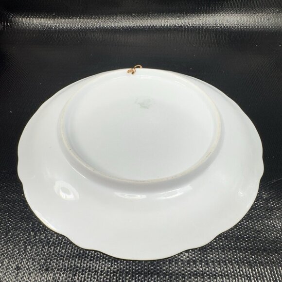 German Bavaria Fine Porcelain Dish Plate Bird Sandpiper Birds Ornate Plate 9.5” - Picture 12 of 15